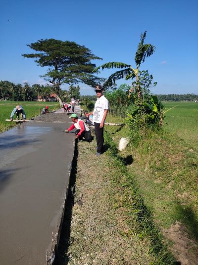 PELAKSANAAN PEMBANGUNAN DESA SIDOMULYO